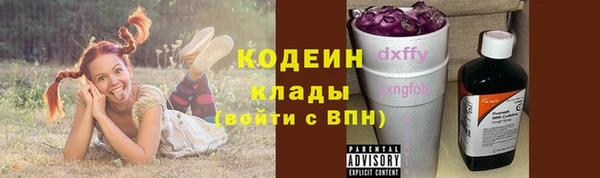 спиды Арсеньев