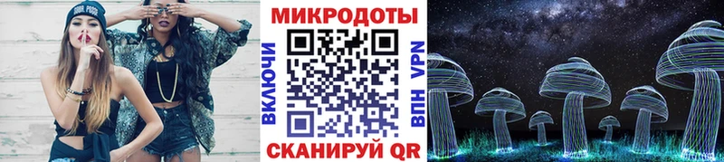 что такое наркотик  Мышкин  Галлюциногенные грибы Psilocybe 