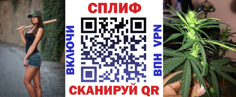 Бошки Шишки планчик Мышкин